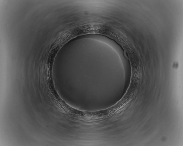 X0000098190818200805011121