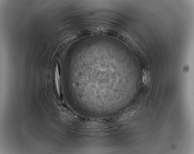 X0000098190819200805011121