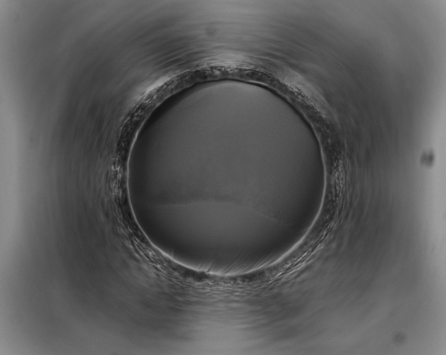 X0000098190822200805011121