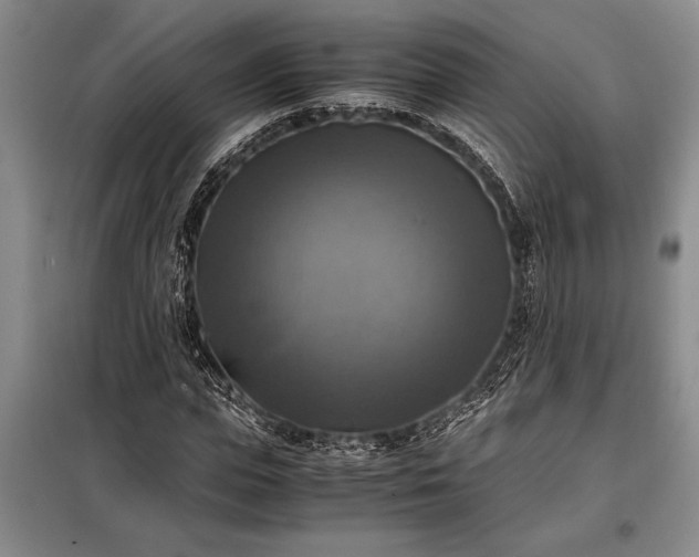 X0000098190823200805011121