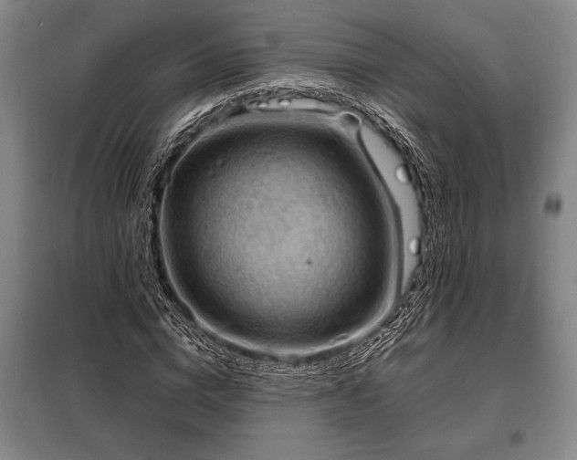 X0000098190824200805011121