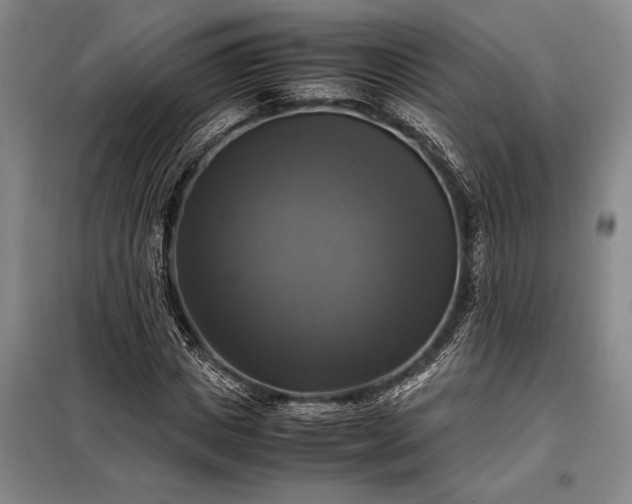 X0000098190825200805011121