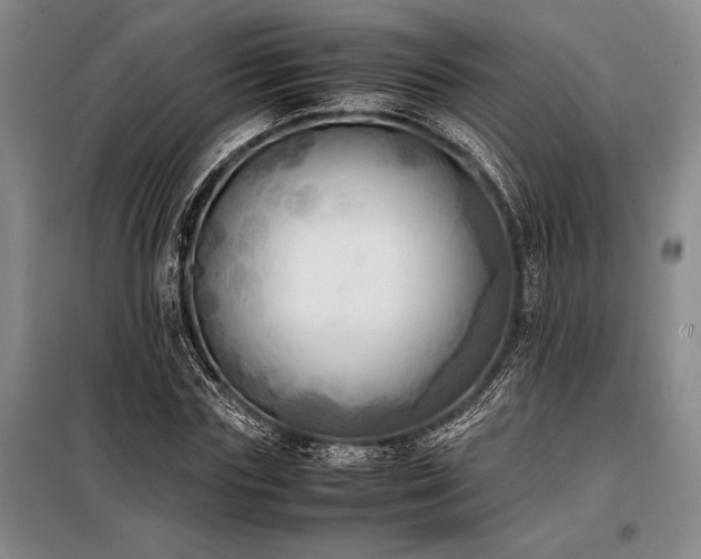 X0000098190827200805011121