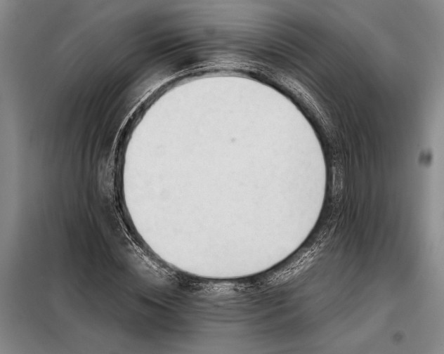 X0000098190828200805011121