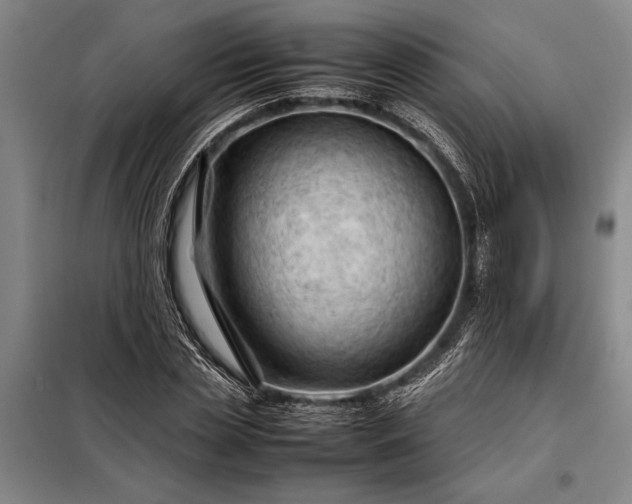 X0000098190829200805011121