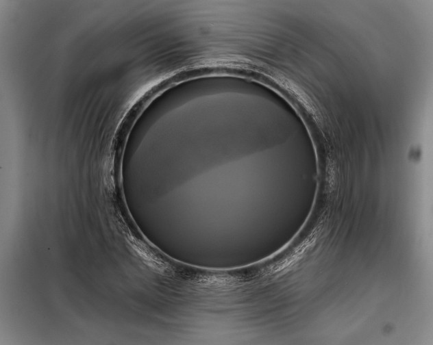 X0000098190830200805011121