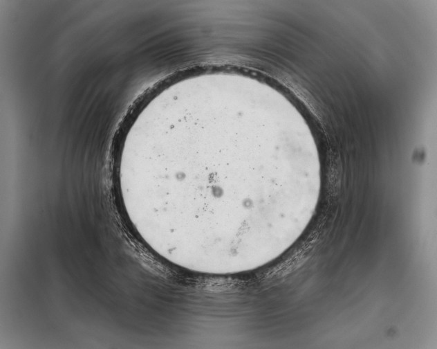 X0000098190832200805011121
