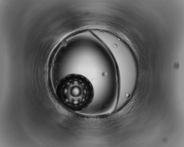 X0000098190836200805011121