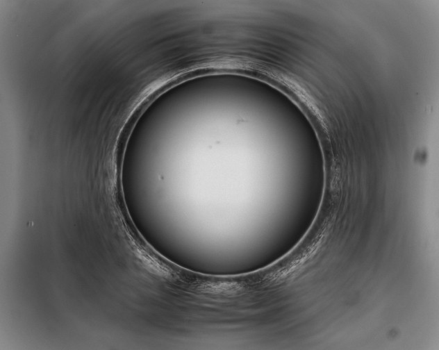 X0000098190837200805011121