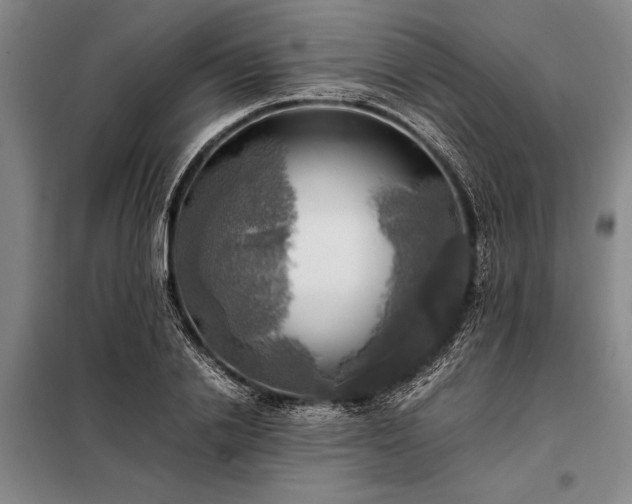 X0000098190838200805011121