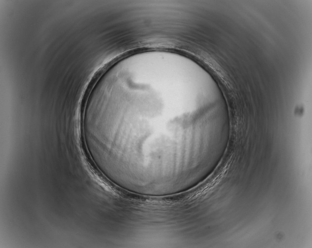 X0000098190840200805011121