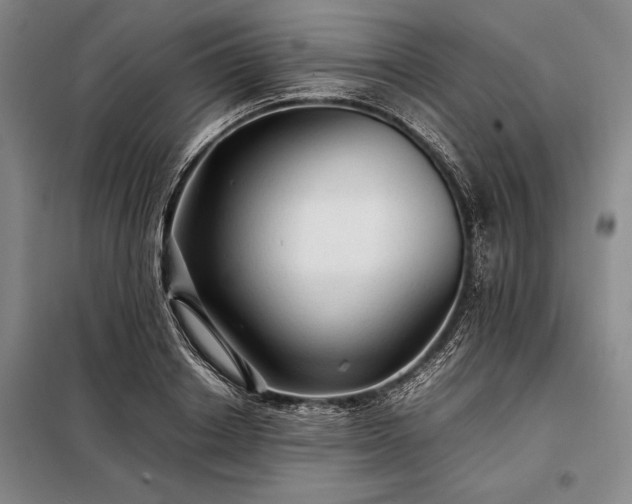X0000098190842200805011121