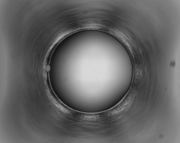X0000098190843200805011121