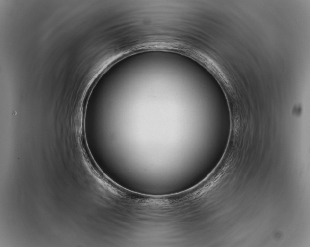 X0000098190844200805011121