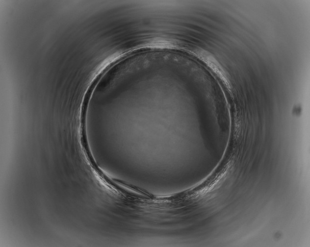 X0000098190845200805011121