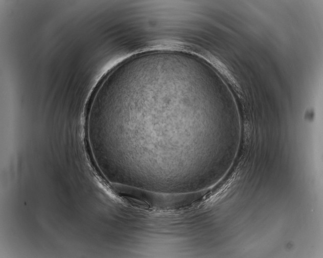 X0000098190846200805011121