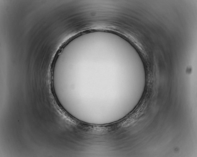 X0000098190848200805011121