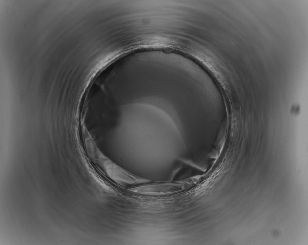 X0000098190850200805011121
