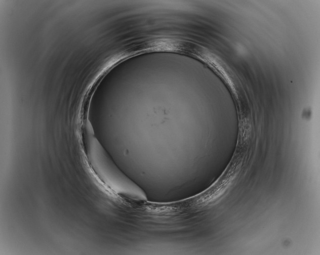 X0000098190851200805011121