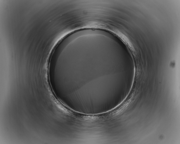 X0000098190854200805011121