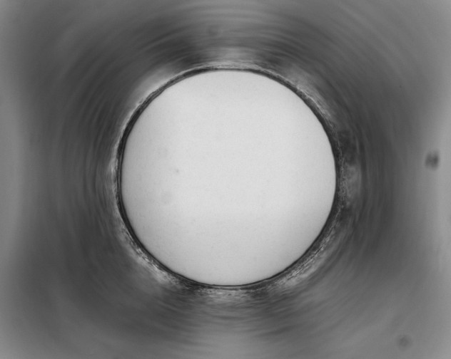 X0000098190856200805011122