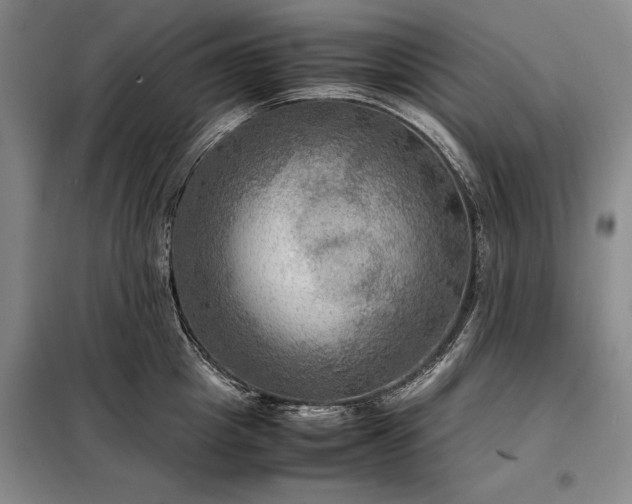 X0000098190857200805011122