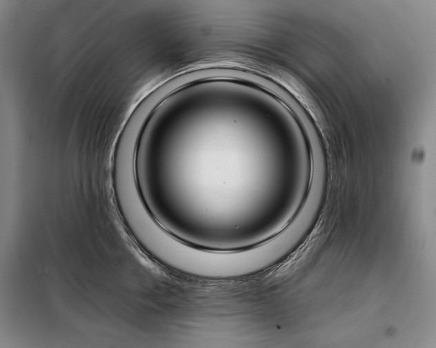 X0000098190858200805011122