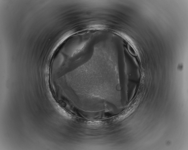 X0000098190859200805011122