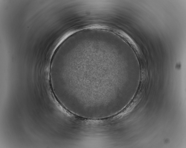 X0000098190860200805011122