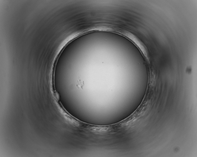 X0000098190861200805011122