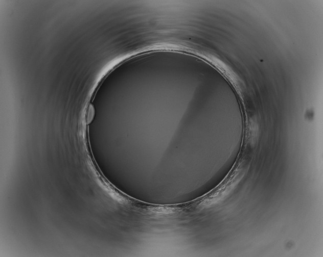 X0000098190862200805011122