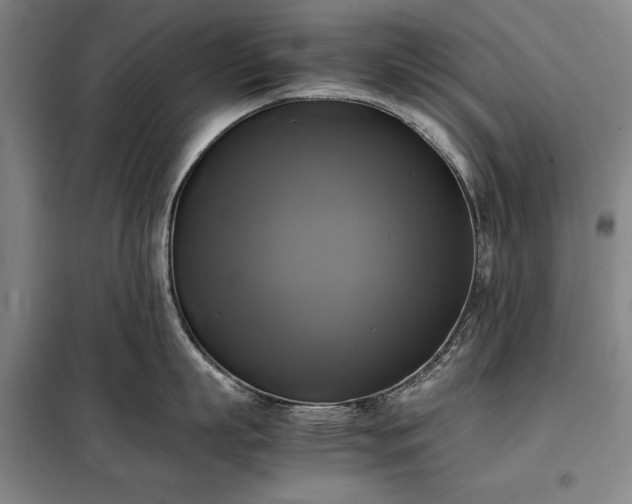 X0000098190863200805011122