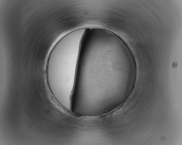 X0000098190864200805011122