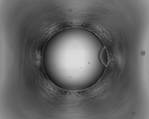 X0000098190866200805011121