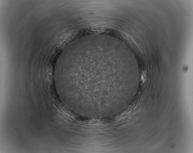 X0000098190867200805011121