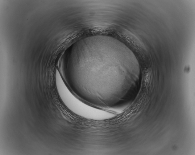 X0000098190868200805011121