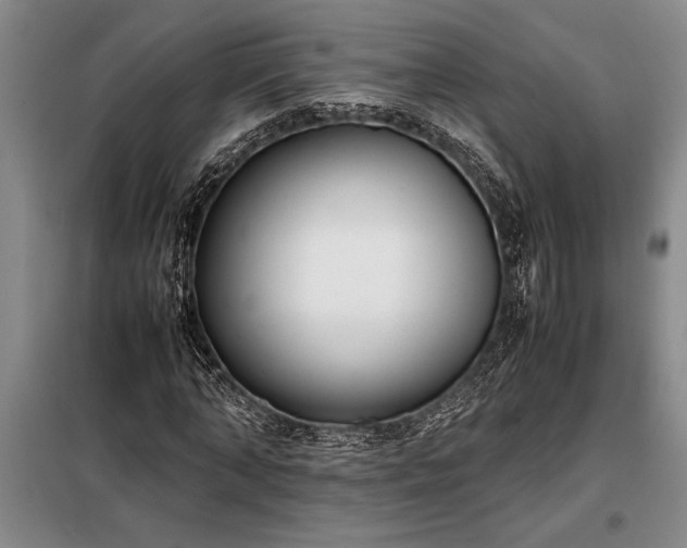 X0000098190870200805011121