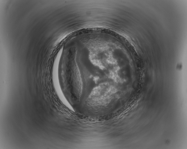 X0000098190871200805011121