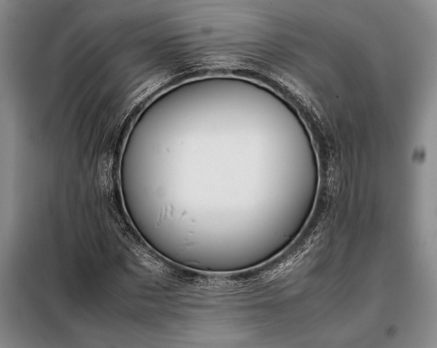 X0000098190873200805011121
