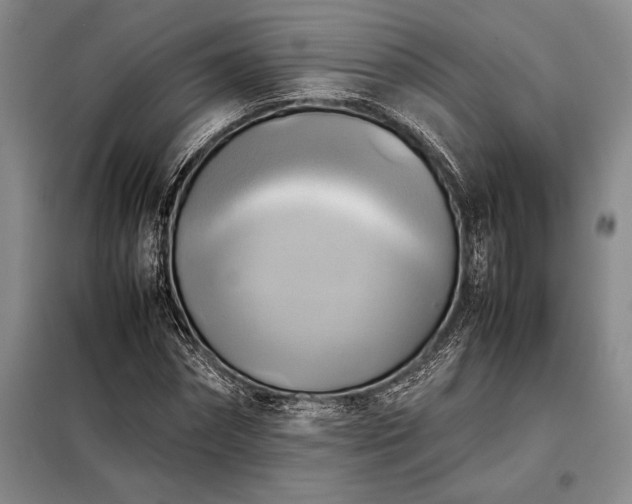 X0000098190874200805011121