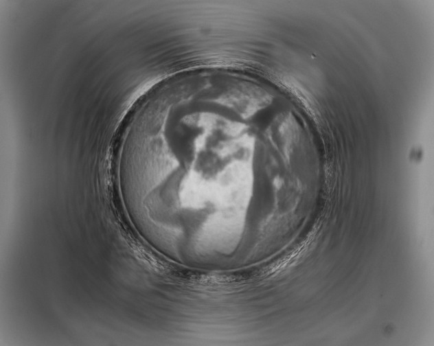 X0000098190875200805011121