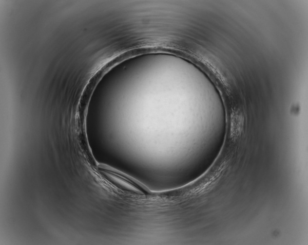X0000098190876200805011121