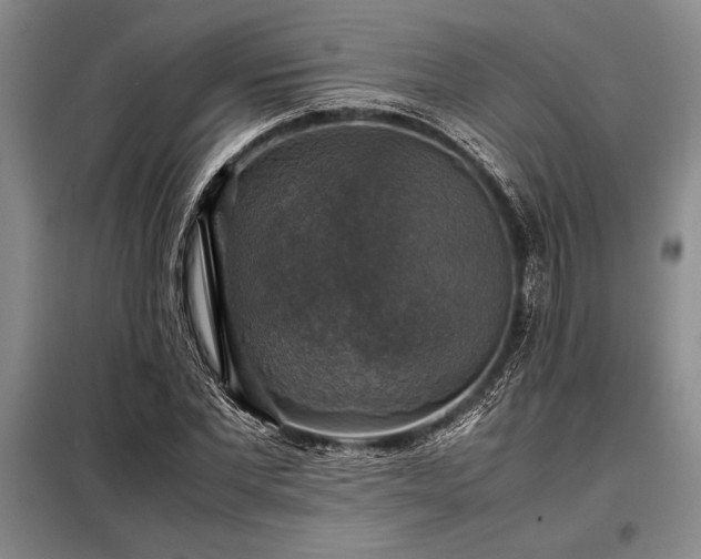X0000098190877200805011121