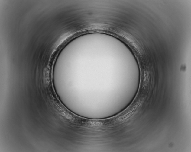 X0000098190878200805011121