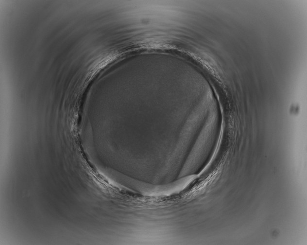 X0000098190881200805011121