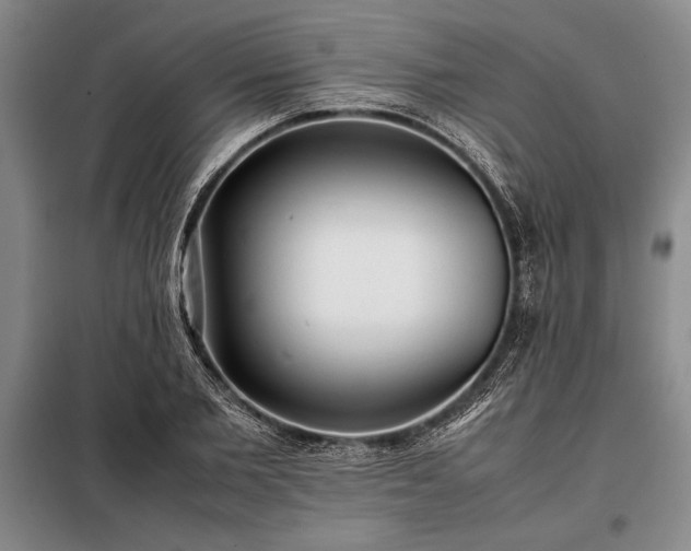 X0000098190885200805011121