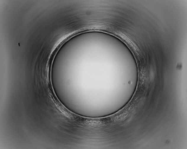 X0000098190886200805011121