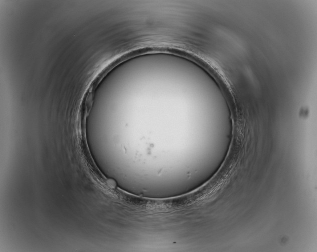 X0000098190887200805011120