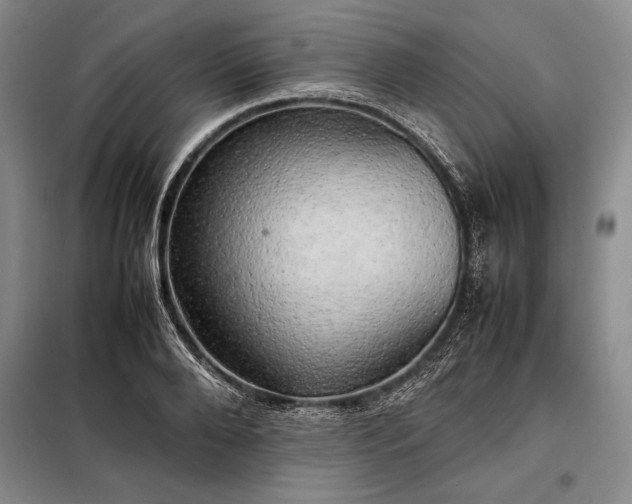 X0000098190888200805011120