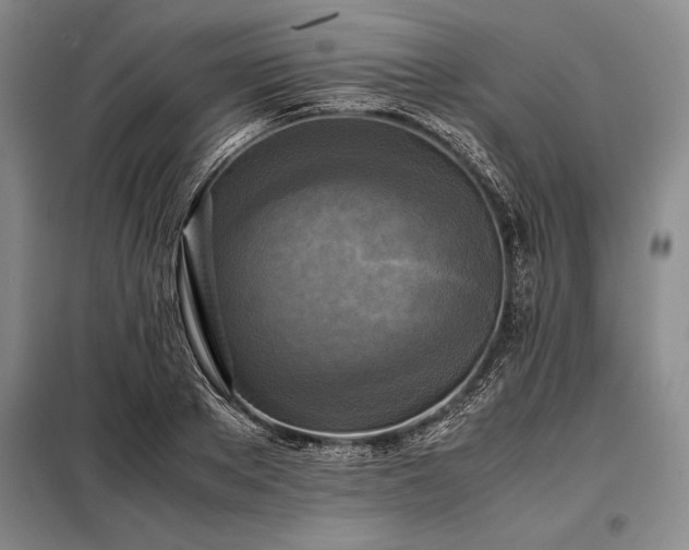 X0000098190889200805011120